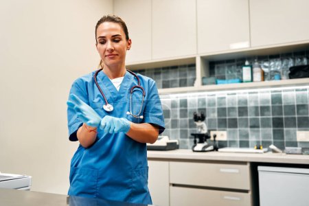 Téléchargez les photos : Médecin vétérinaire femme en uniforme bleu avec stéthoscope dans des gants médicaux debout dans la salle d'examen dans une clinique vétérinaire. Traitement des animaux domestiques. - en image libre de droit