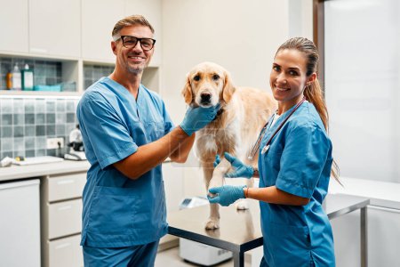 Photo for Veterinarians doctors in blue uniforms conduct a routine examination of a dog on a table in a modern office of a veterinary clinic. Treatment and vaccination of pets. - Royalty Free Image