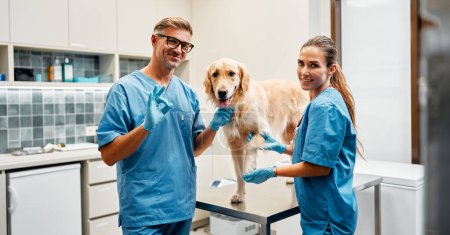 Foto de Veterinarios médicos en uniformes azules llevan a cabo un examen de rutina de un perro sobre una mesa en una oficina moderna de una clínica veterinaria. Tratamiento y vacunación de mascotas. - Imagen libre de derechos