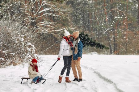Téléchargez les photos : Joyeux Noël et bonne année. Une famille heureuse monte un enfant sur un traîneau et porte un arbre de Noël de la forêt le long d'un chemin enneigé en préparation pour les vacances. - en image libre de droit