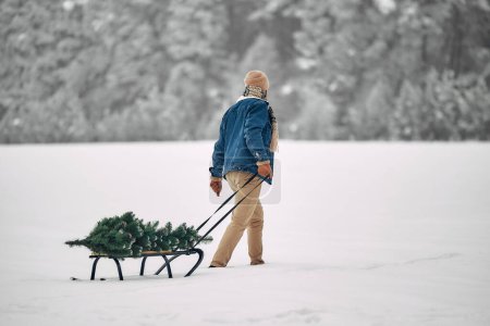 Photo for Merry Christmas and Happy New Year. A happy man is carrying a Christmas tree on a sleigh against the backdrop of the forest in snowy weather, preparing for the holidays. - Royalty Free Image