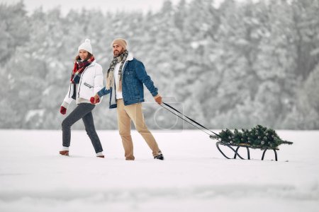 Foto de Feliz Navidad y Feliz Año Nuevo. Una feliz pareja está llevando un árbol de Navidad en un trineo contra el telón de fondo del bosque en un clima nevado, preparándose para las vacaciones. - Imagen libre de derechos