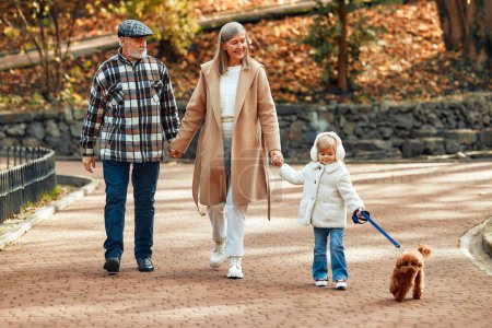 Téléchargez les photos : Couple d'âge mûr marchant avec un enfant et un chien dans le parc. Grands-parents marchant avec leur petite-fille et leur chien dans le parc en automne. - en image libre de droit