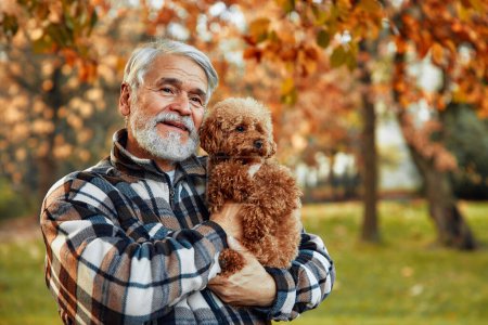 Photo for Handsome mature gray-haired man holding dog in his arms in park. Walk with your pet in the fresh air. Grandpa playing with dog. - Royalty Free Image