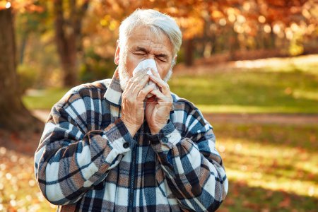 Téléchargez les photos : Un homme mûr aux cheveux gris tomba malade, s'essuyant le nez avec un mouchoir dans un parc en automne doré. Nez qui coule et froid. - en image libre de droit