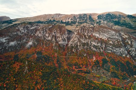 Téléchargez les photos : Vue aérienne d'une communauté végétale automnale couvrant une montagne dans une écorégion spécifique, avec des nuages planant au-dessus du paysage naturel et des pentes herbeuses - en image libre de droit