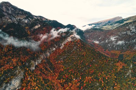 Téléchargez les photos : Un paysage naturel pittoresque avec une pente de montagne couverte d'arbres sous un ciel nuageux, mettant en valeur la beauté des formes montagneuses et des phénomènes géologiques - en image libre de droit