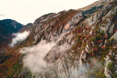 Téléchargez les photos : Une perspective aérienne révèle une montagne luxuriante ornée d'une communauté végétale dense, enveloppée de nuages. Le paysage naturel présente une variété de végétation sur les pentes, de l'herbe aux arbres - en image libre de droit