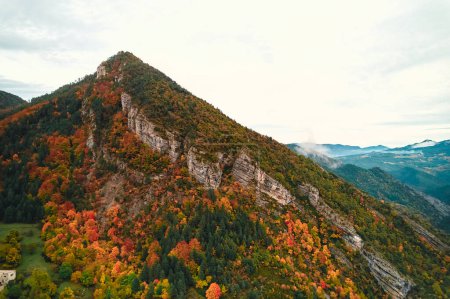 Photo for A natural landscape with a mountain covered in colorful trees during autumn, creating a beautiful plant community seen from a birds eye view - Royalty Free Image