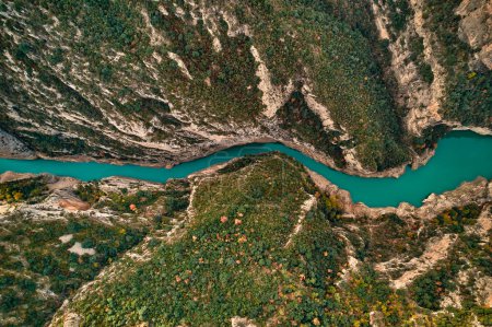 Foto de Un río pintoresco fluye a través de un cañón bordeado de árboles en un impresionante paisaje natural. El agua atraviesa la montaña, mostrando formas terrestres fluviales y fenómenos geológicos - Imagen libre de derechos
