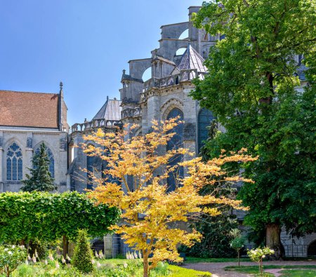 Téléchargez les photos : Jardins de la cathédrale gothique Notre-Dame de Chartres dans la région Centre-Val de Loire, France - en image libre de droit
