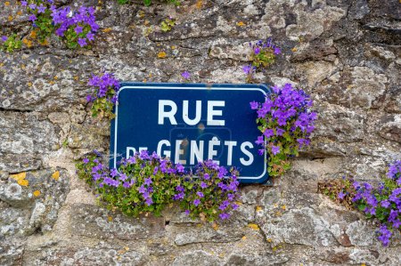 Foto de Letrero de calle francés en un viejo muro de piedra parcialmente cubierto de florecientes campanillas dálmatas en Thegonnec en Bretaña, Francia - Imagen libre de derechos