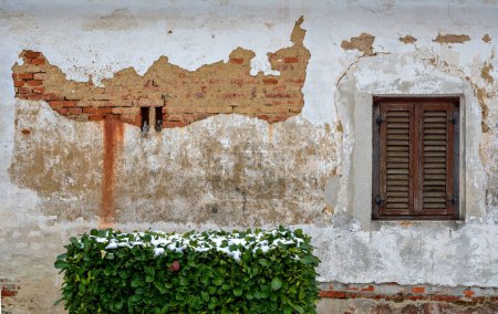 Photo for Desolate wall of an old farmhouse with partly missing plaster and window with closed shutters in Bath Tatzmannsdorf in the region Burgenland, Austria - Royalty Free Image