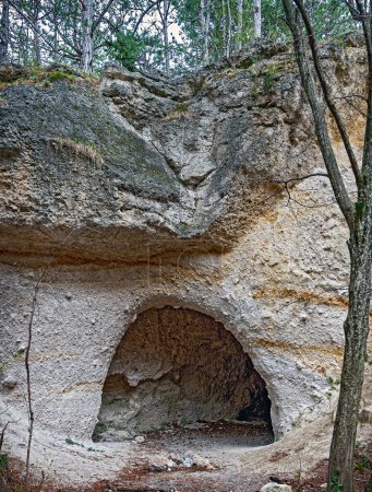 artificial caves in the dolomite rock at the Harz mountain above Badth Voeslau, resulting through the former extraction of grinding sand, Austria