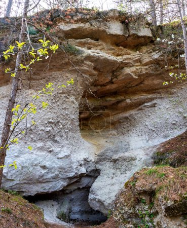 Gainfarner Brekzie, dolomite rock resulting from surf debris of the primordial ocean at the coast line of the Viennese basin in Bath Voeslau, Austria
