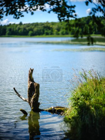 Photo for Beautiful countryside lake in summer with reflections in water and green tree leaves - Royalty Free Image