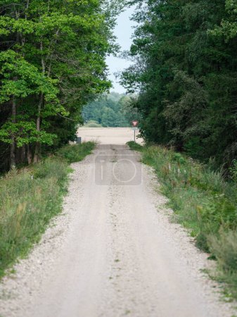 Photo for Gravel country road in green summer fields overgrown with grass - Royalty Free Image