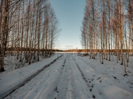 Foto de Paisaje con carretera de invierno cubierta de hielo y nieve - Imagen libre de derechos