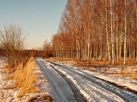 Téléchargez les photos : Paysage avec route d'hiver recouverte de glace et de neige - en image libre de droit