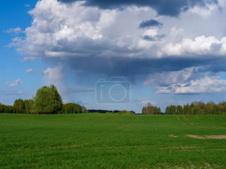 Foto de Campo prado granja con césped verde fresco cortado y árboles en el fondo. naturaleza paisaje - Imagen libre de derechos