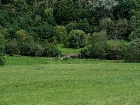 Téléchargez les photos : Prairie agricole de campagne avec herbe verte fraîche coupée et des arbres en arrière-plan. nature paysage - en image libre de droit