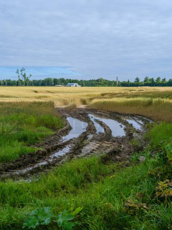 Foto de Lecho de río drenado sin agua es verano con reflejos de nubes - Imagen libre de derechos