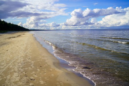 Photo for Baltic sea side beach in sunny summer day with blue sky, white clouds and no people - Royalty Free Image