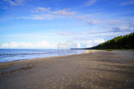 Téléchargez les photos : Plage baltique côté mer dans une journée ensoleillée d'été avec ciel bleu, nuages blancs et personne - en image libre de droit