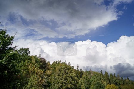 Foto de Nubes de lluvia blanca sobre el campo en verano con cielo azul y alto contraste - Imagen libre de derechos
