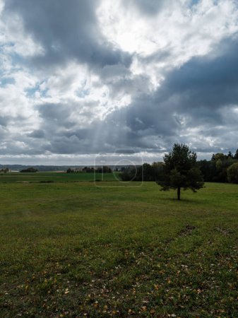 Foto de Nubes de lluvia blanca sobre el campo en verano con cielo azul y alto contraste - Imagen libre de derechos