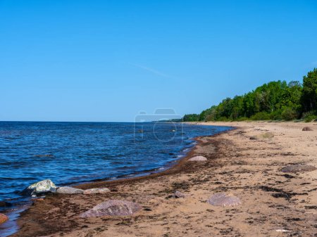 Téléchargez les photos : Plage de sable texturé abstrait avec des roches et des bâtons de bois - en image libre de droit
