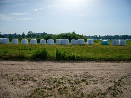 Foto de Campos de agricultura listos para el arado, tierra marrón en verano - Imagen libre de derechos