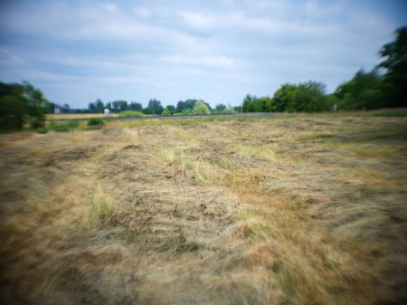 Téléchargez les photos : Champs agricoles prêts pour la charrue, terre brune en été - en image libre de droit