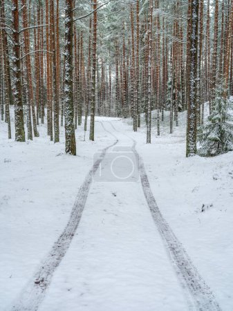 Foto de Paisaje rural en frío día de invierno con nieve y hielo congelado - Imagen libre de derechos