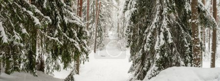 Photo for Countryside landscape in cold winter day with snow and ice frozen - Royalty Free Image