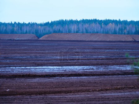 Foto de Pantano humedales paisaje para la recolección de césped campo de energía natural - Imagen libre de derechos