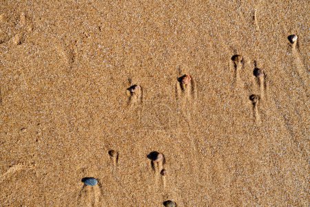 Foto de Textura de arena húmeda en la playa junto al mar - Imagen libre de derechos