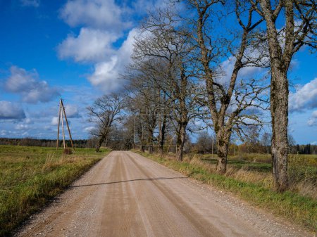Photo for Country gravel road in sunny summer day - Royalty Free Image