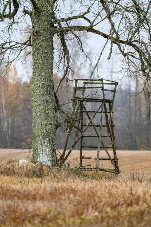 Foto de Torre de reloj de caza de madera a finales de otoño campos vacíos - Imagen libre de derechos