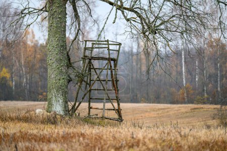 Téléchargez les photos : Tour de montre de chasse en bois dans les champs de fin d'automne vide - en image libre de droit