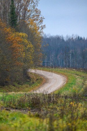 Téléchargez les photos : Route de campagne en gravier aux couleurs de la fin de l'automne - en image libre de droit