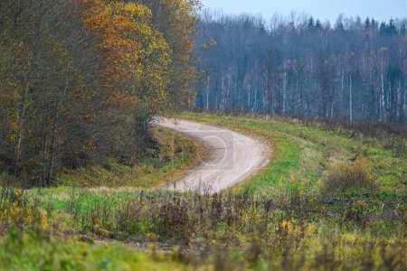 Photo for Gravel countryside road in late autumn colors - Royalty Free Image