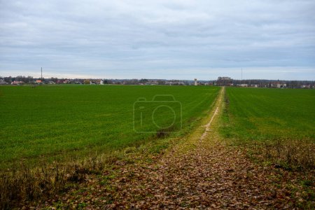 Photo for Gravel countryside road in late autumn colors - Royalty Free Image