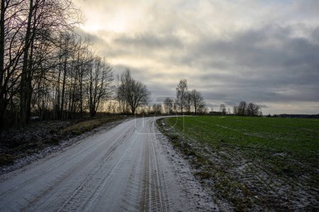 Foto de Camino de campo en invierno cubierto de nieve camino de conducción - Imagen libre de derechos