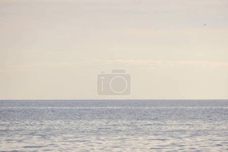 Téléchargez les photos : Belle plage de bord de mer avec sable blanc et vagues en été - en image libre de droit