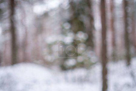 Photo for Abstract bits of nature in winter snow with frozen grass and branches - Royalty Free Image