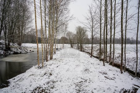 Téléchargez les photos : Près de la rivière gelée à la fin de l'automne avec des arbres nus et un peu de neige - en image libre de droit