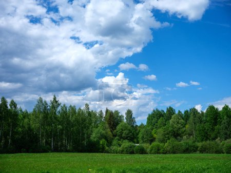 Téléchargez les photos : Champs ruraux en été avec ciel bleu au-dessus des champs verts. - en image libre de droit
