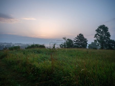 Foto de La niebla de la mañana a orillas del río es la hora verde del verano - Imagen libre de derechos