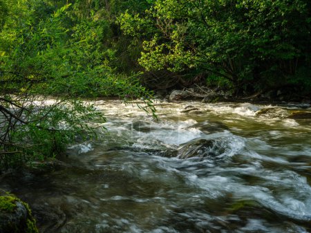 Téléchargez les photos : Rivière sauvage rapide avec des montagnes en arrière-plan en été - en image libre de droit